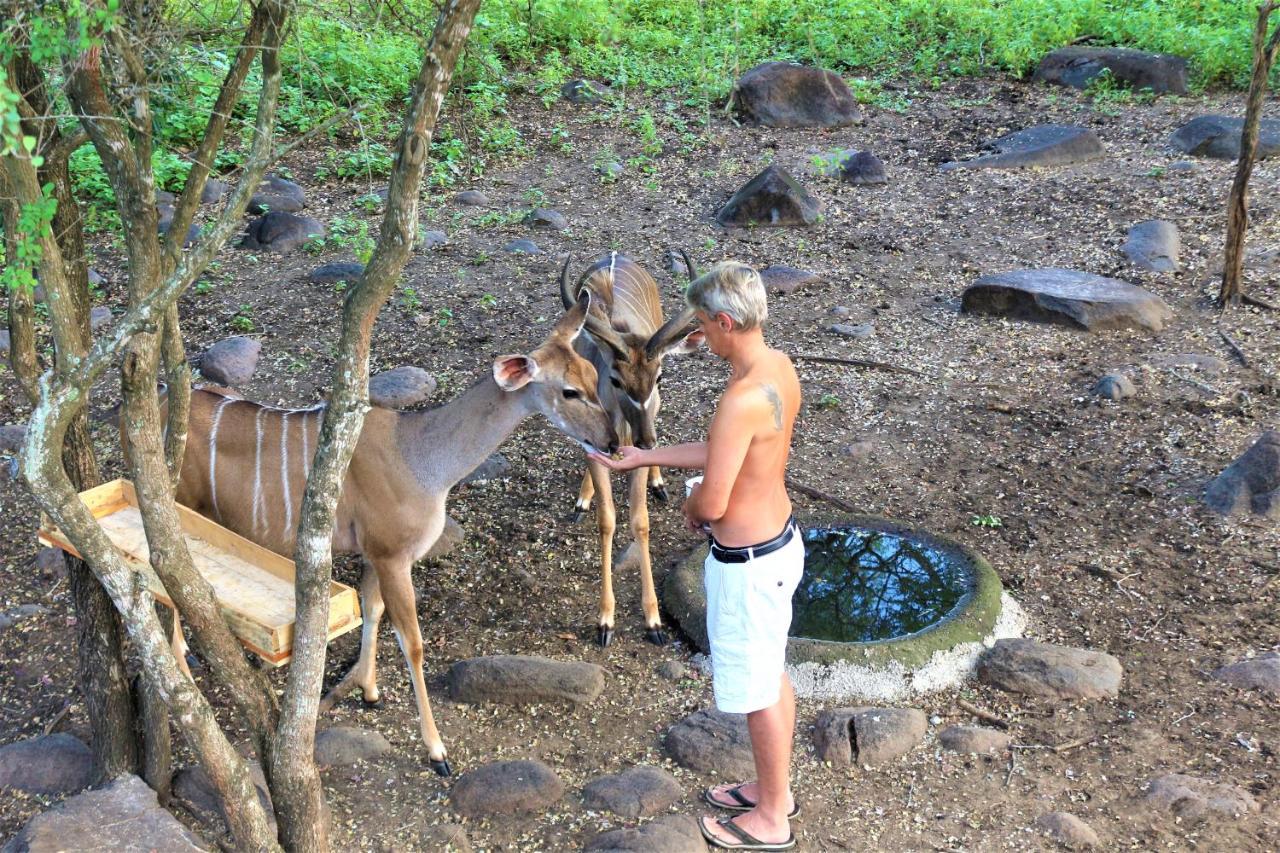 Kruger Kumba - Lahlekile Nathi Apartamento Marloth Park Exterior foto