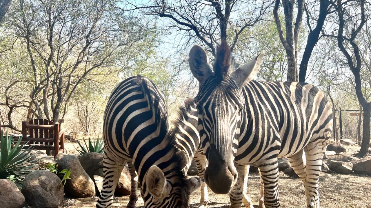Kruger Kumba - Lahlekile Nathi Apartamento Marloth Park Exterior foto